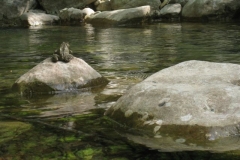 kroatien_12b